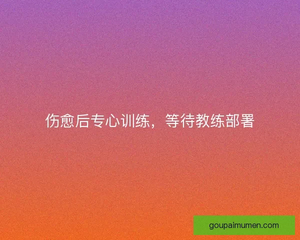 伤愈后专心训练，等待教练部署