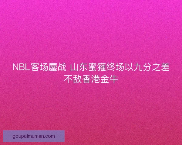 NBL客场鏖战 山东蜜獾终场以九分之差不敌香港金牛